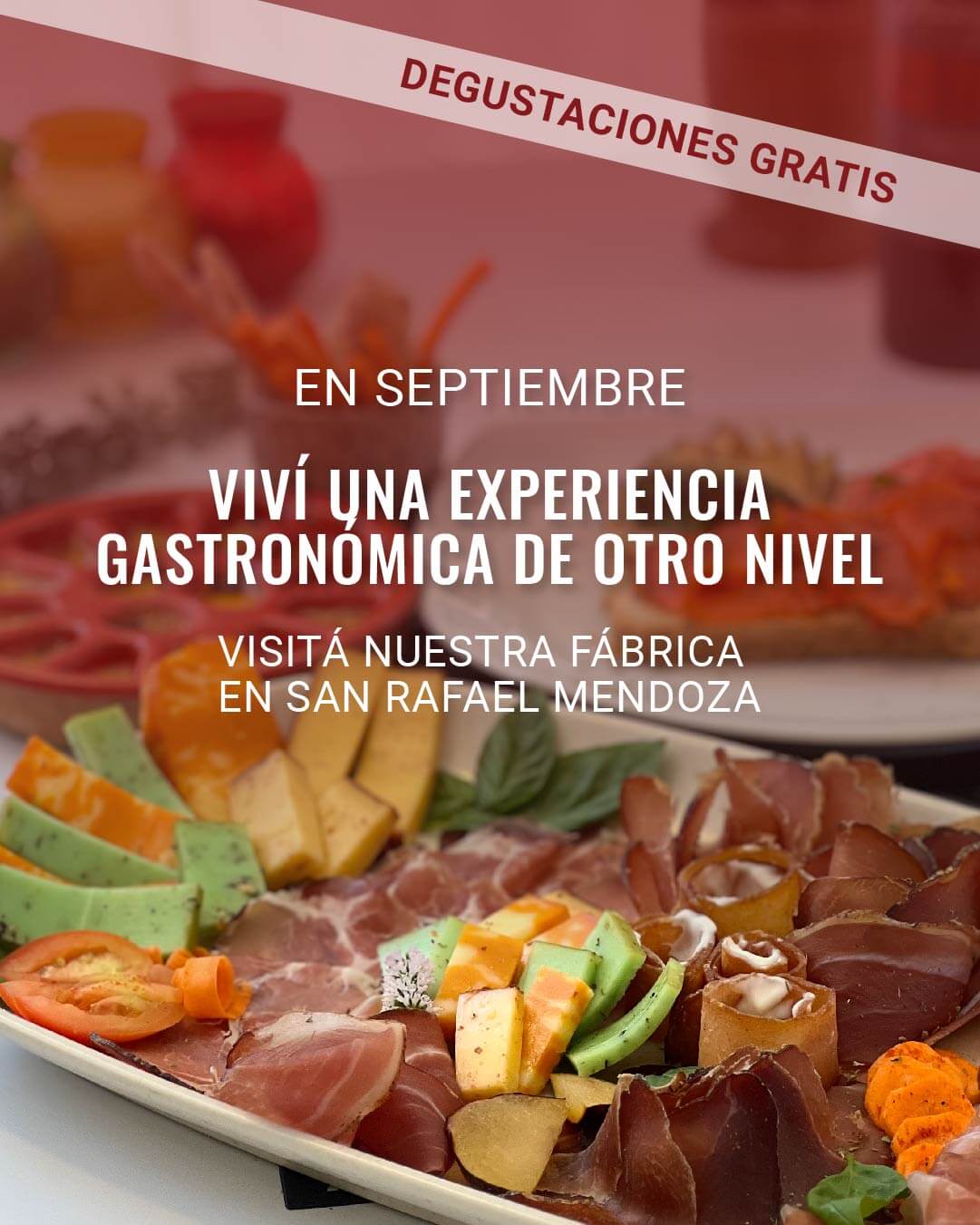 turismo en san rafael mendoza, que hacer en san rafael, degustaciones gratis